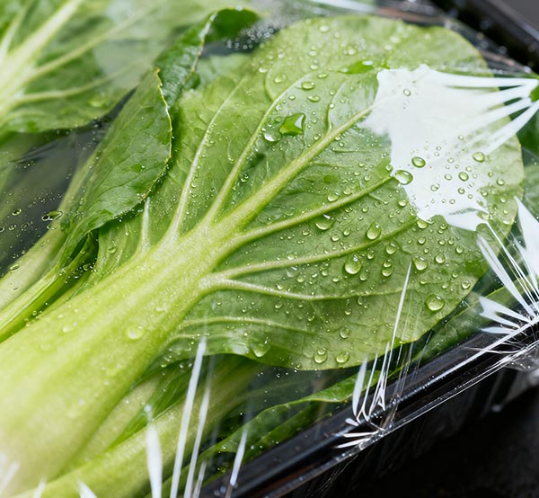 Green recycling is becoming mainstream, and Donghui Heat Shrink Film is driving packaging industry transformation with environmentally friendly technology.